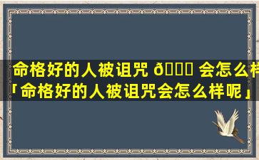 命格好的人被诅咒 🍀 会怎么样「命格好的人被诅咒会怎么样呢」